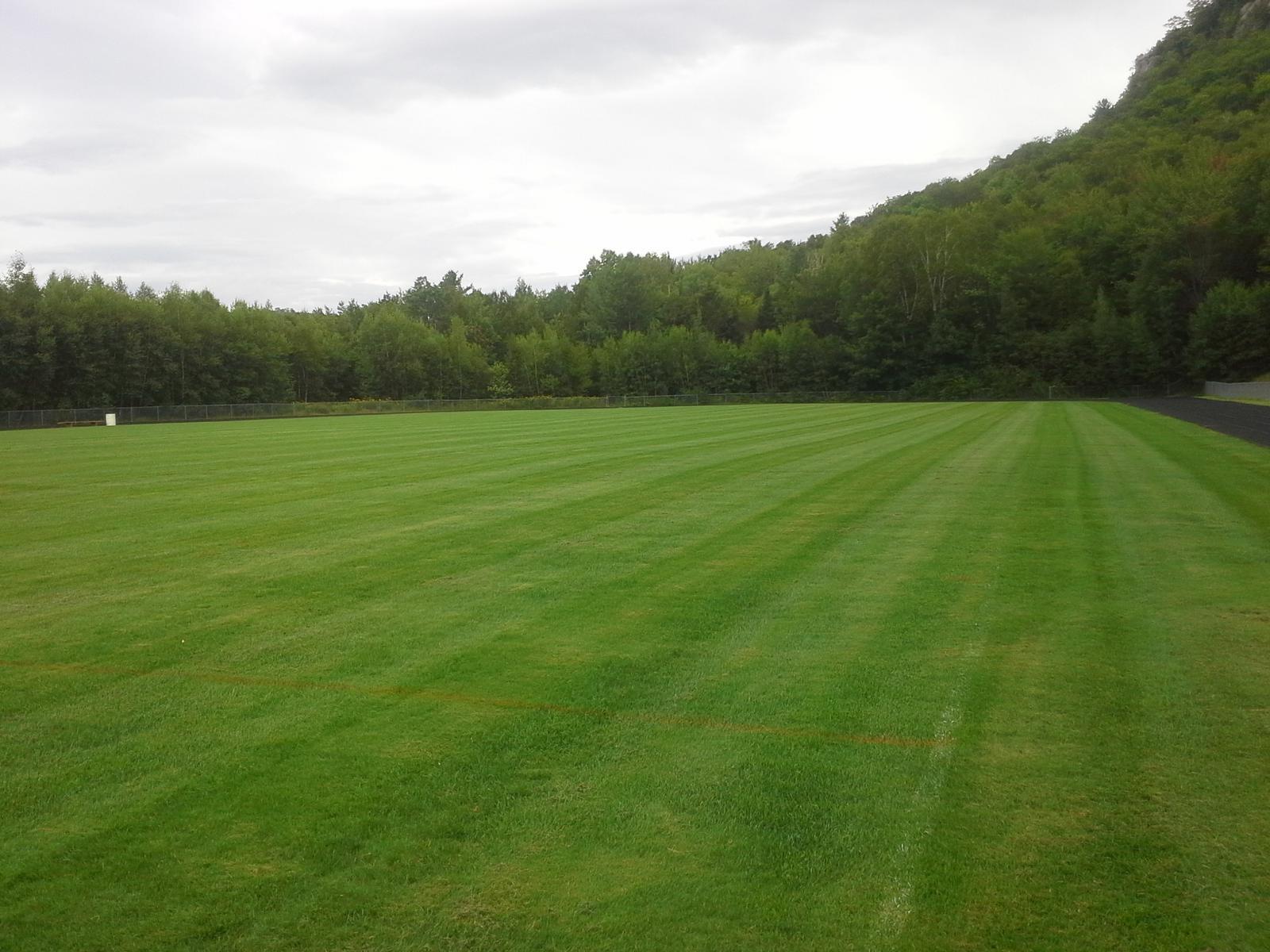 Athletic field mix